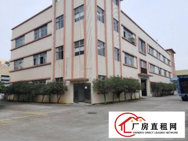  塘厦振兴围独院标准1楼700平方！现成主线办公室装修