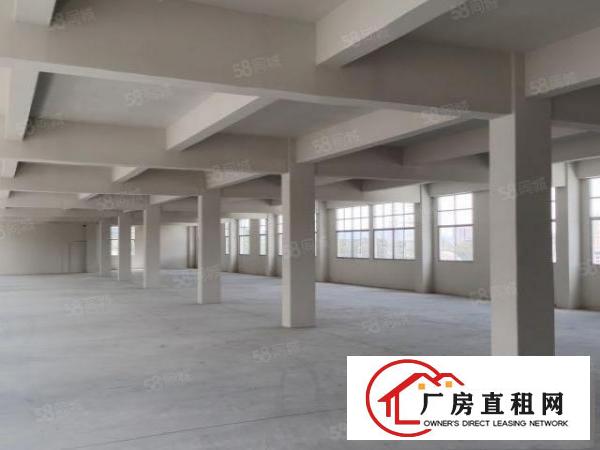  塘厦大坪出口原房东厂房每层900平米无公摊使用率高