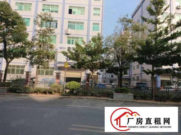  塘厦大坪出口原房东厂房每层900平米无公摊使用率高