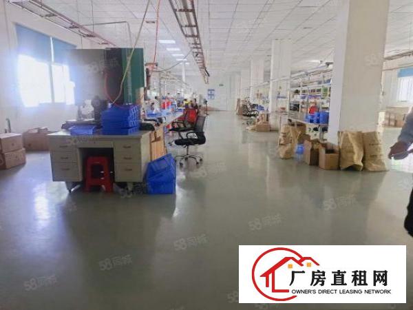  塘厦清湖头标准2楼1200平方！大气前台精装修！实拍视频图片