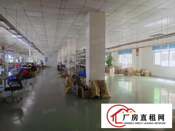  塘厦清湖头标准2楼1200平方！大气前台精装修！实拍视频图片
