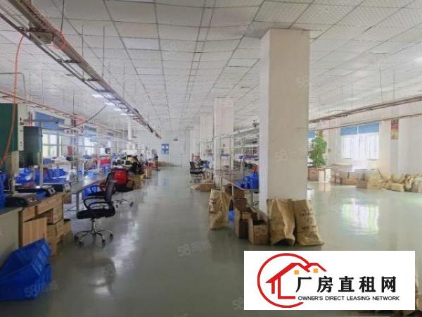  塘厦清湖头标准2楼1200平方！大气前台精装修！实拍视频图片