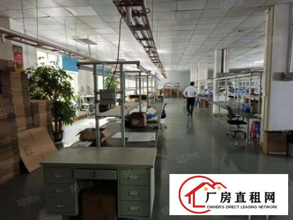  塘厦清湖头标准2楼1200平方！大气前台精装修！实拍视频图片