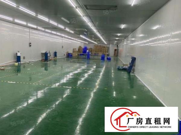  现成精装修无转让费！塘厦独门独院全新十万级无尘车间急租！