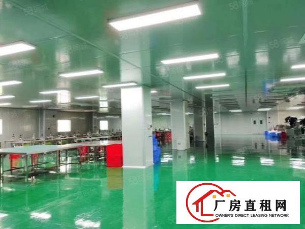  现成精装修无转让费！塘厦独门独院全新十万级无尘车间急租！