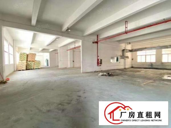  (带环评实际面积）清溪三中原房东2楼厂房出租1200平