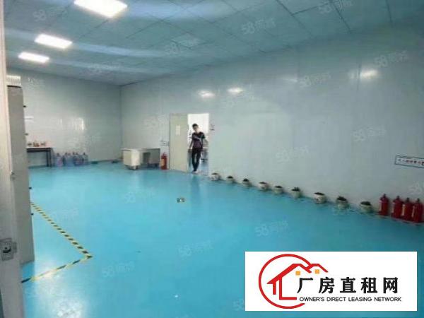  塘厦清湖头独院标准2楼600平方！干净整洁装修！拎包即生产