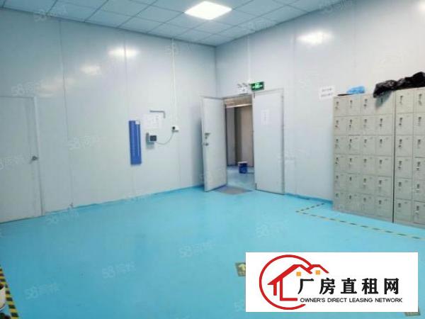  塘厦清湖头独院标准2楼600平方！干净整洁装修！拎包即生产