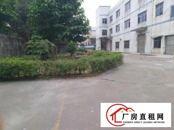  塘厦清湖头独院标准2楼600平方！干净整洁装修！拎包即生产
