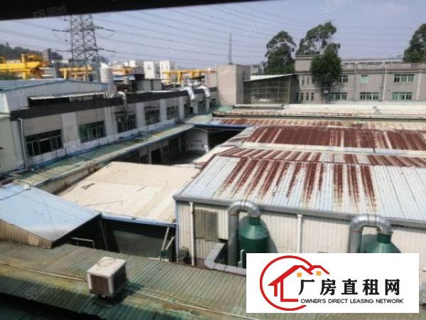  塘厦临深片区原房20000平独门独院厂房出租。500平起分租