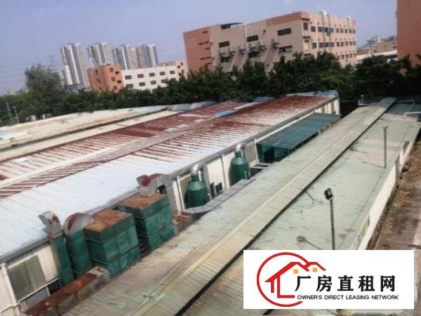  塘厦临深片区原房20000平独门独院厂房出租。500平起分租