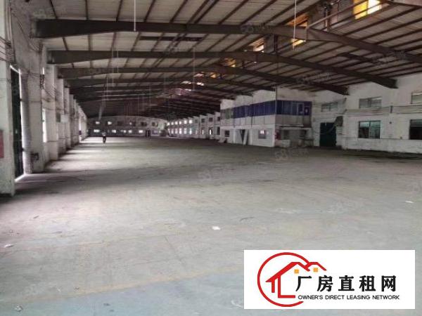  塘厦桥陇标准厂房1100钢构可进出货车面积大