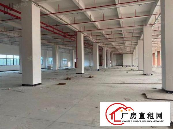  塘厦林村高速口十万平产业园，现成配置，可整租分租