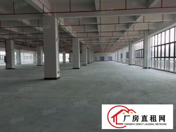  塘厦林村高速口十万平产业园，现成配置，可整租分租
