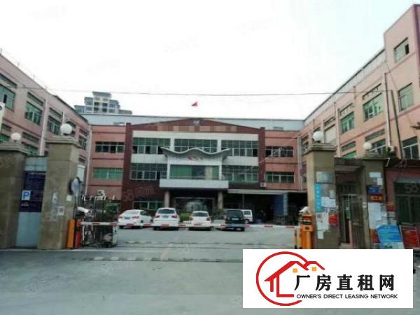  塘厦沙湖新出标厂2楼600平电商办公室仓库电子等多种行！