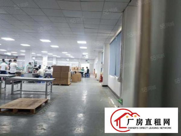  塘厦四村刚空出5000平标准独院厂房，原房东直租拎包生产