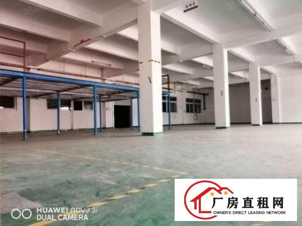  （五金模具）大坪新出原房东一楼精装修1200平，靠近大坪高速