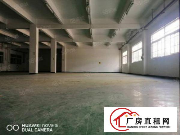  （五金模具）大坪新出原房东一楼精装修1200平，靠近大坪高速