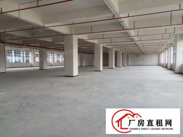  全新厂房首层7米，消防喷淋独立综合楼带房产证空地大！