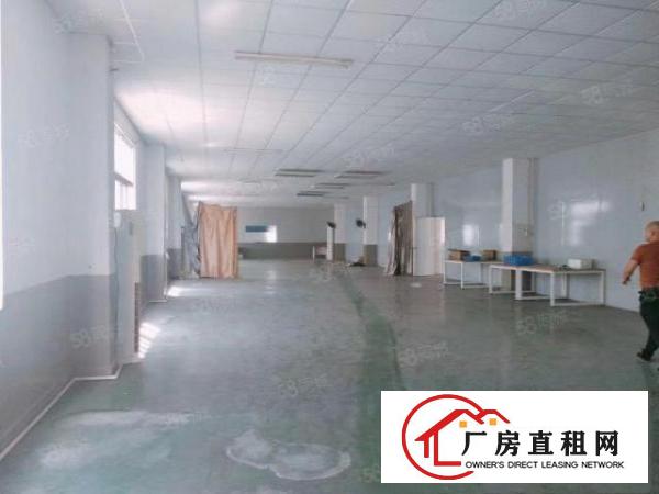  塘厦新出原房东独院12层3500平方，厂房可做冲压压铸生产