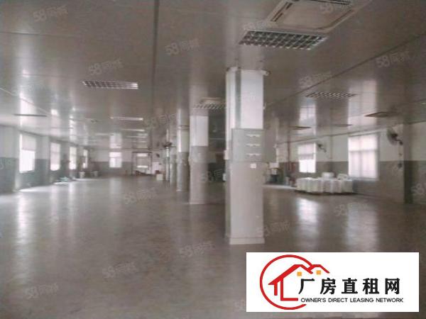  塘厦新出原房东独院12层3500平方，厂房可做冲压压铸生产