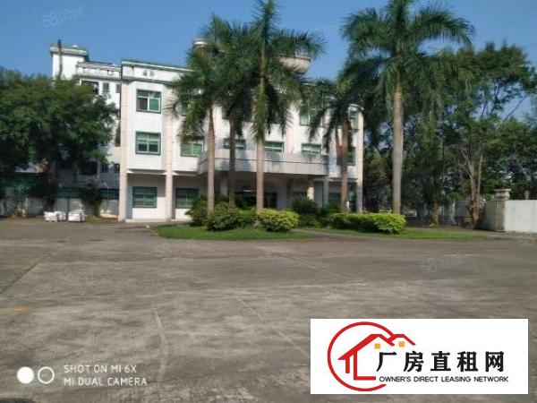  塘厦林村新出标准一楼带牛角1500，有牛角