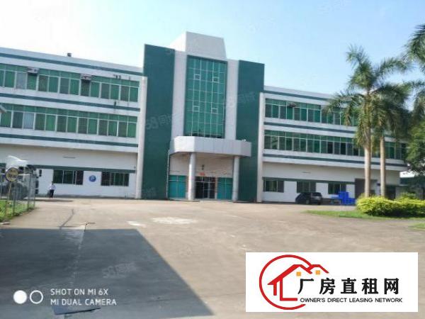  塘厦林村新出标准一楼带牛角1500，有牛角