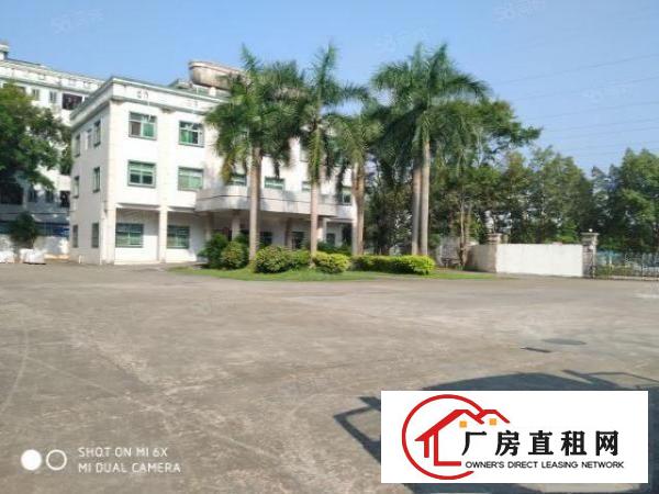 塘厦林村新出标准一楼带牛角1500，有牛角