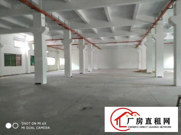  塘厦林村新出标准一楼带牛角1500，有牛角