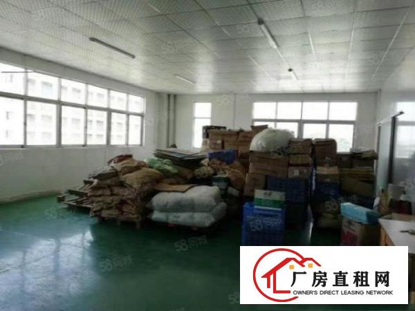  塘厦石鼓本地房东新出1800平厂房出租现成装修拎包入驻