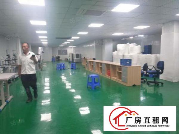  塘厦科苑城独院标准3楼600平方！洁净车间精装修