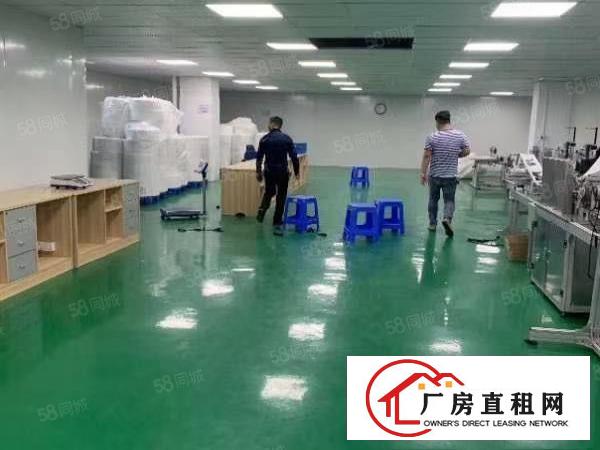  塘厦科苑城独院标准3楼600平方！洁净车间精装修
