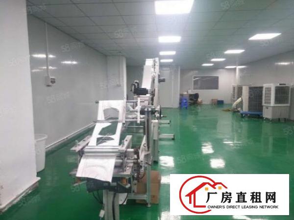  塘厦科苑城独院标准3楼600平方！洁净车间精装修
