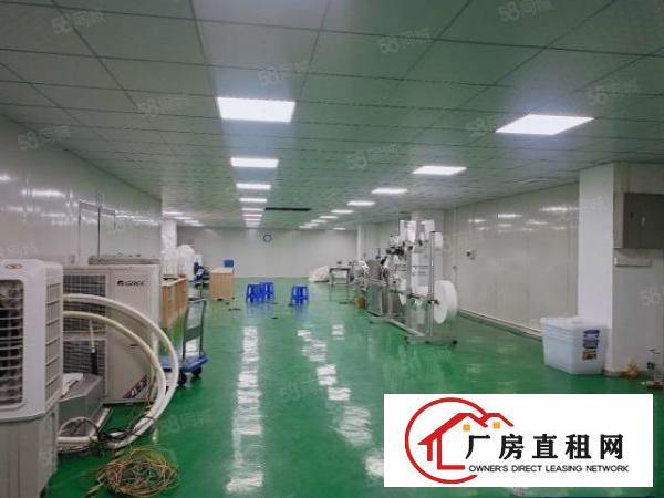  塘厦科苑城独院标准3楼600平方！洁净车间精装修