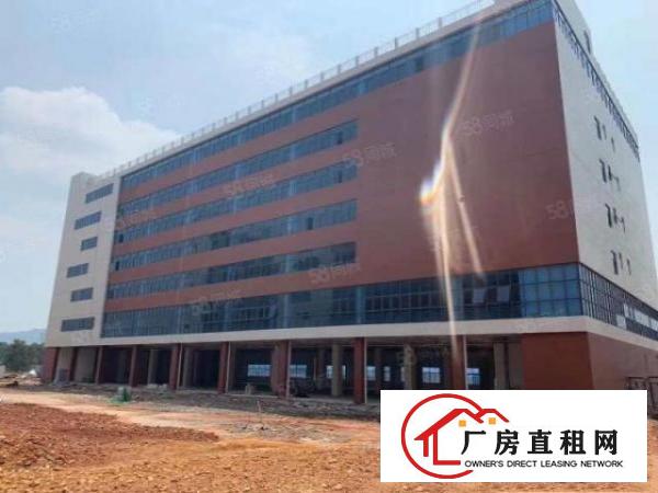  塘厦临深全新红本厂房3栋88000平可分租主线到车间横空出世