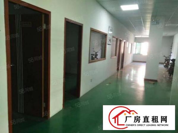  塘厦国有证花园式厂房独门独院厂房出租，8100平米