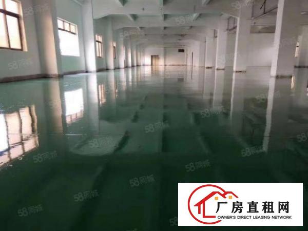  塘厦国有证花园式厂房独门独院厂房出租，8100平米