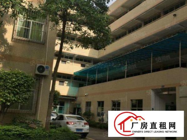  塘厦国有证花园式厂房独门独院厂房出租，8100平米