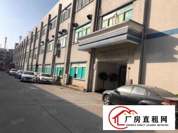  清湖头一楼700带豪华办公室！无公摊只租20好招工