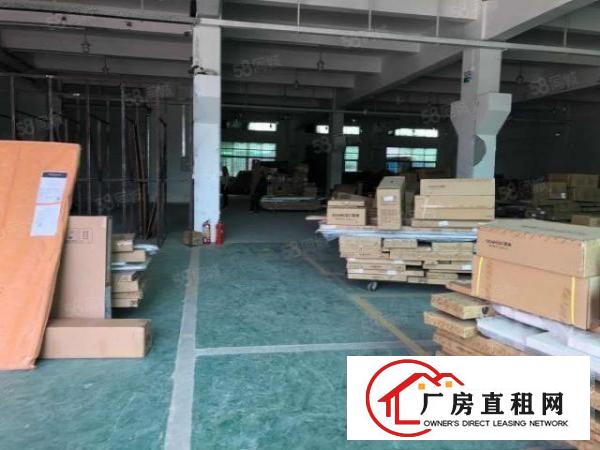  清湖头一楼700带豪华办公室！无公摊只租20好招工