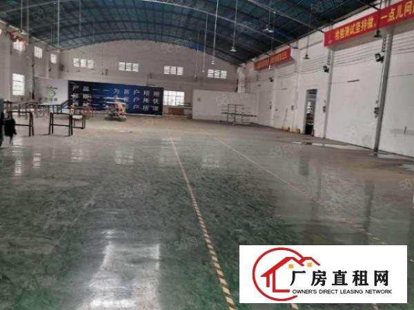  塘厦田心新出3300独院钢构，配电大，滴水8米，带装修原房东
