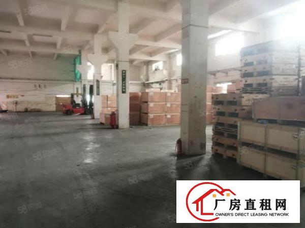  塘厦石鼓工业园新出一楼1000平米6米高带牛角精装修厂房出租