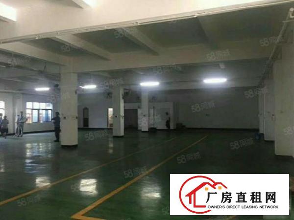  塘厦桥陇南屏工业区标准2楼580平方！电子车间现成装修
