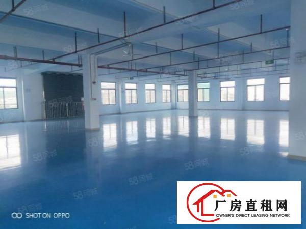  塘厦新出标准厂房2480平米出租