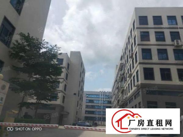  塘厦新出标准厂房2480平米出租