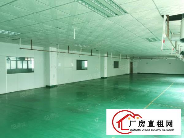  塘厦田心新出3200平独院标准厂房，现成装修配置，易招工