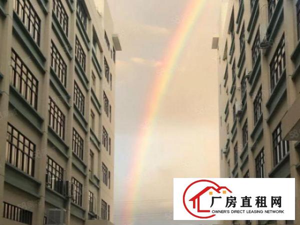  塘厦林村6800平厂房仓库冷库出租！可分租带办公室有消防喷淋