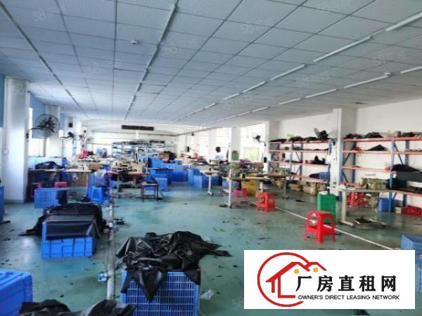  塘厦蒲心湖独门独院厂房6300平米，9成新，月底搬空