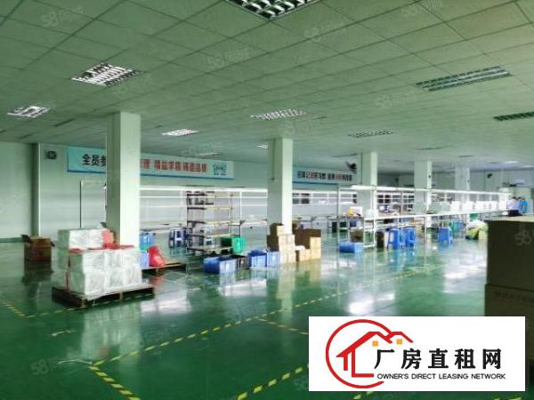 塘厦蒲心湖独门独院厂房6300平米，9成新，月底搬空