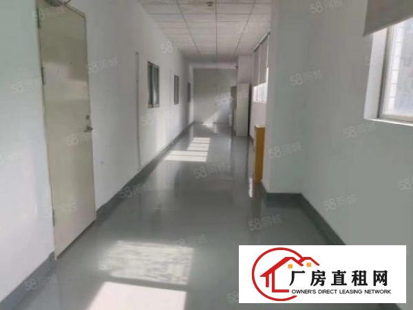  塘厦四村高科技工业区新出二楼1200平方